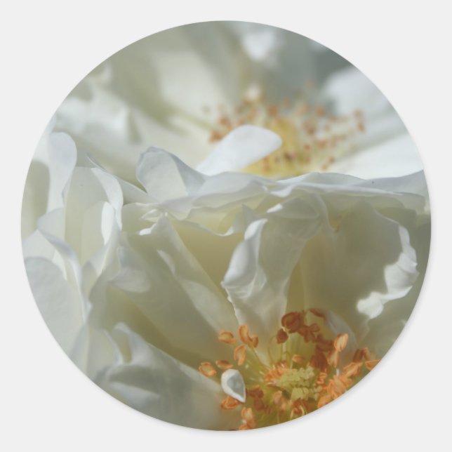 Sweet White Round Sticker 1 (Vorderseite)