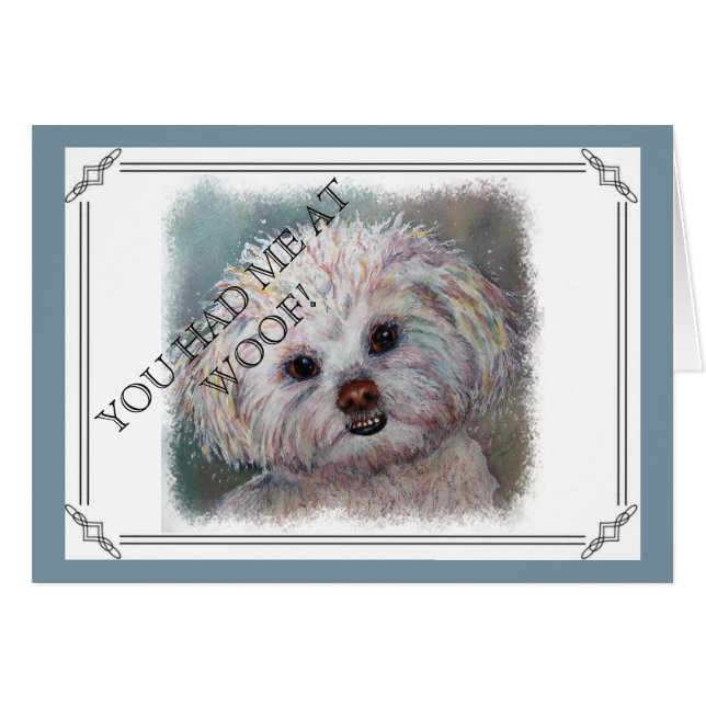 SWEET WHITE YORKIE (Devant horizontal)