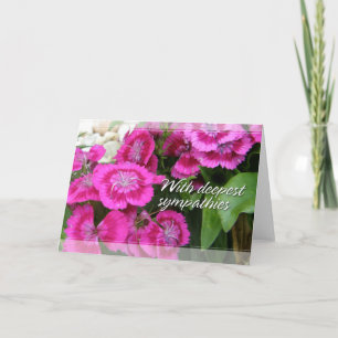 Sweet Williams (Dianthus) Sympathy Cards Karte