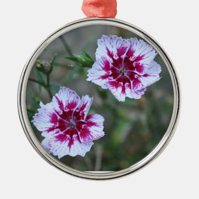 Sweet Williams Silbernes Ornament (Vorne)