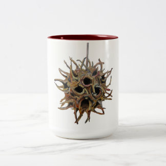 Sweetgum Hülsen-Kastanienbraun 15 Unze Zwei-Ton Zweifarbige Tasse