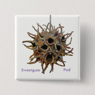 Sweetgum Hülsen-Knopf Button