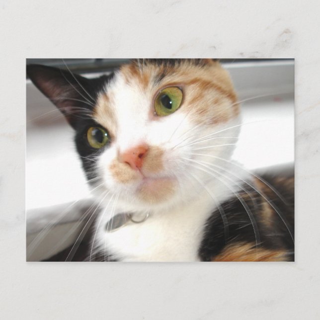 Sweetheart Postkarte (Vorderseite)