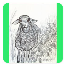 Sweetheart Sheep