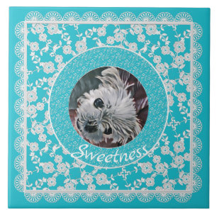 Sweetness-Aqua-Puppy-Square-CUSTOM-FOTO-TEMPLATE- Fliese