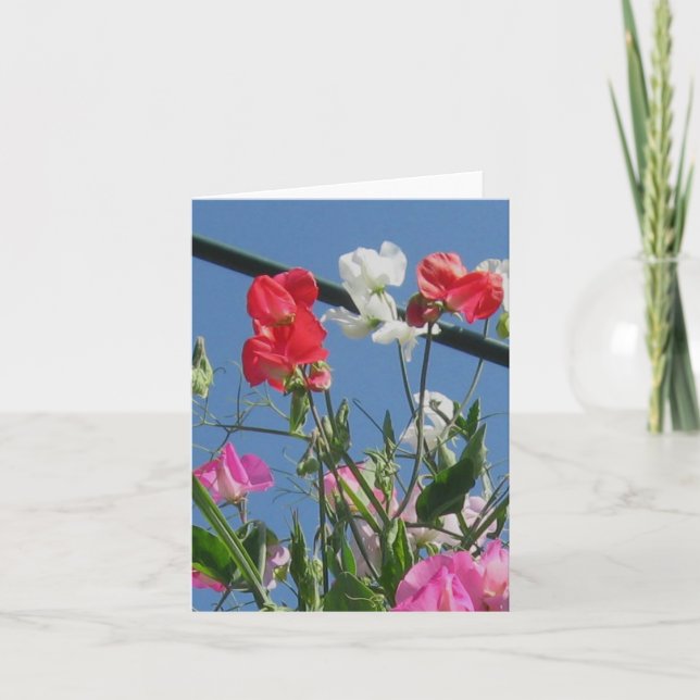 Sweetpeas Anmerkungs-Karte Karte (Vorderseite)