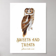Sweets & Treats Owl Baby Shower 