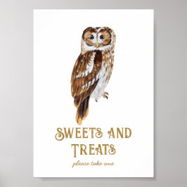 Sweets & Treats Owl Baby Shower  Poster