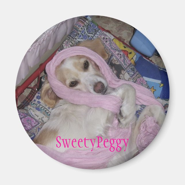 SweetyPeggy Magnet (Vorne)