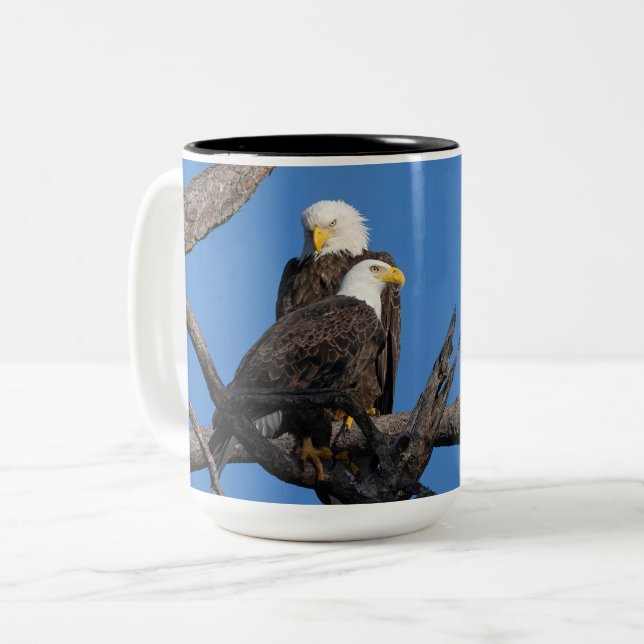 SWFEC - M15 & F23 - Ein neues Paar im Nest Zweifarbige Tasse (Vorderseite Links)