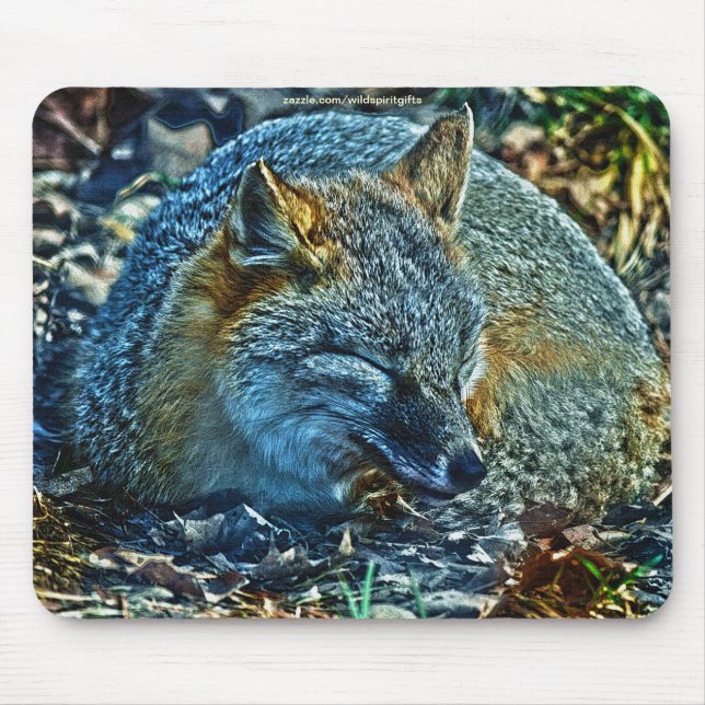 Swift Fox Asleep auf Blätter Wildlife Mousepad (Vorne)