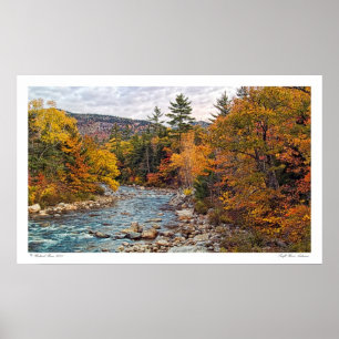 Swift River Autumn Poster