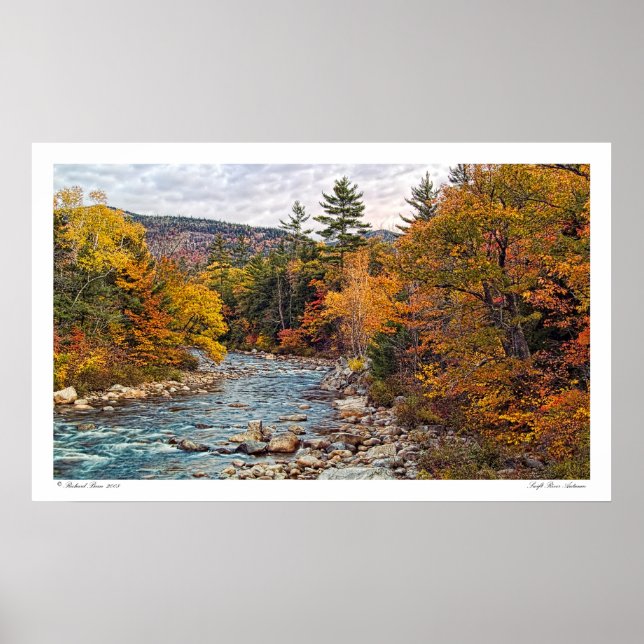 Swift River Autumn Poster (Vorne)