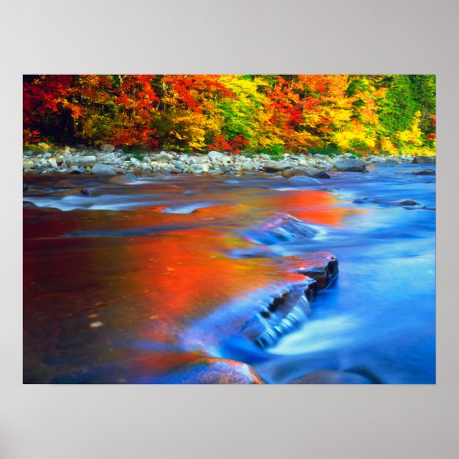 Swift River reflecting autumn colors Poster (Vorne)