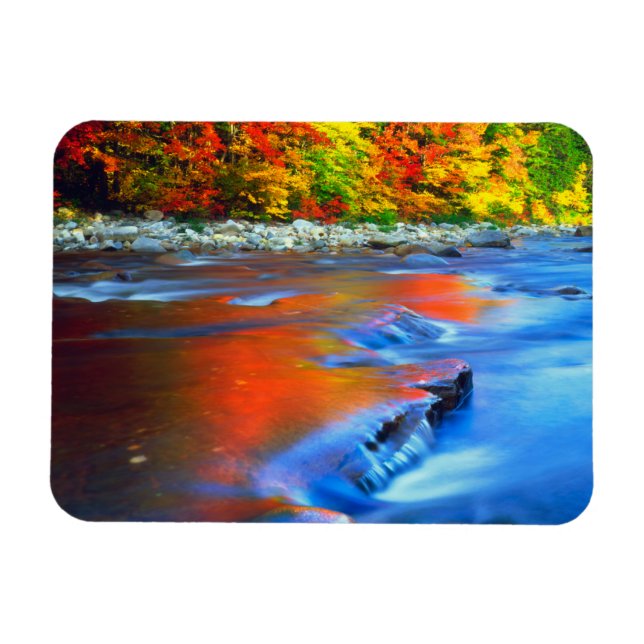 Swift River reflektiert Herbstfarben Magnet (Horizontal)