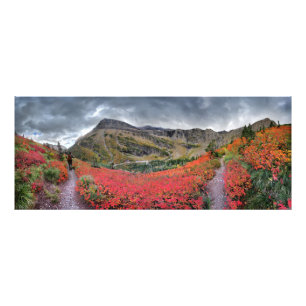 Swiftcurrent Pass - Glacier Nationalpark Fotodruck