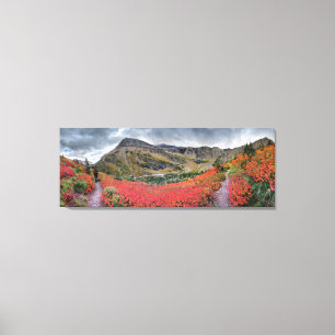 Swiftcurrent Pass - Glacier Nationalpark Leinwanddruck