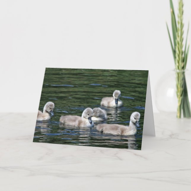 Swim Friends Karte (Vorderseite)