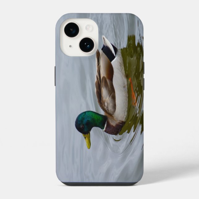 Swim Mallard Swim iPhone Case 14 Hülle (Rückseite)