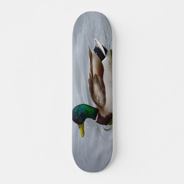 Swim Mallard Swim Skateboard (Vorne)