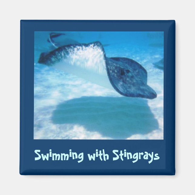 Swim mit Rays SWRS1 Magnet (Vorne)
