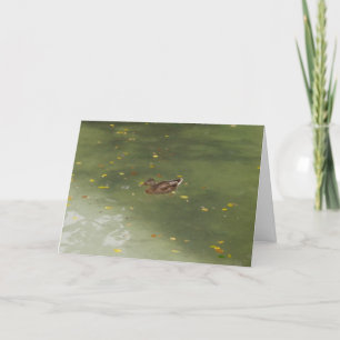 "Swimming Duck" Danke Karte