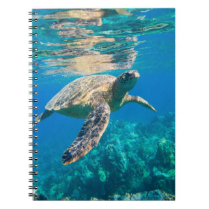 Swimming Sea Turtle Notizblock