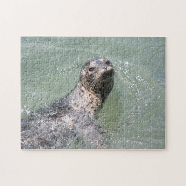 Swimming Seal  (Horizontal)