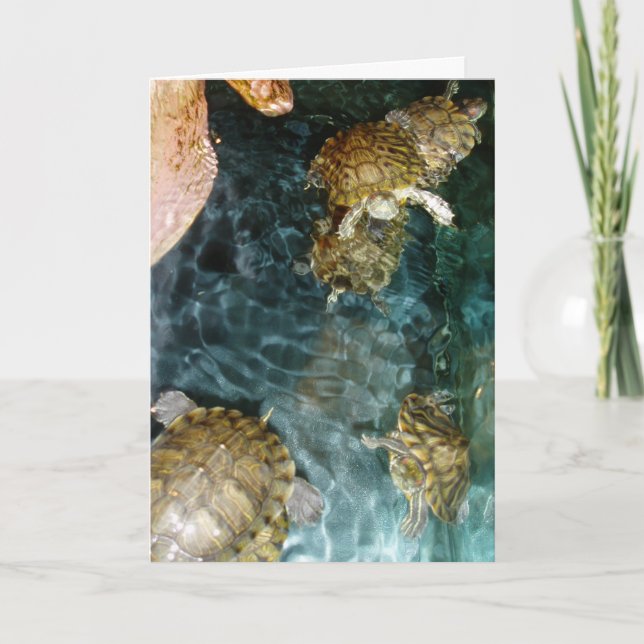 "Swimming Turtles" Geburtskarte Karte (Vorderseite)