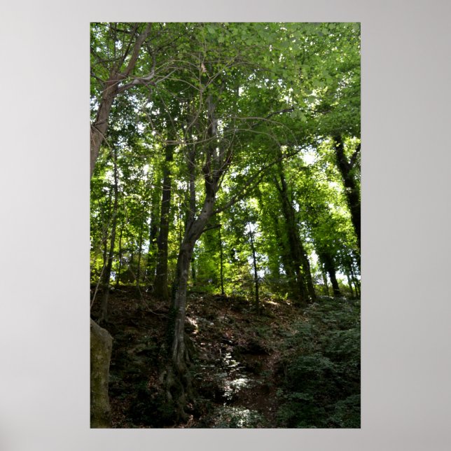 Swing and Tree Poster (Vorne)