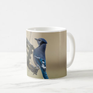 Swinging Blue Jay Coffee Tasse