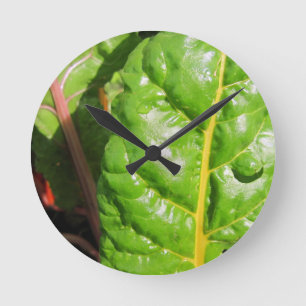 Swiss Chards Runde Wanduhr