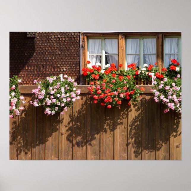 Swiss flower box poster (Vorne)