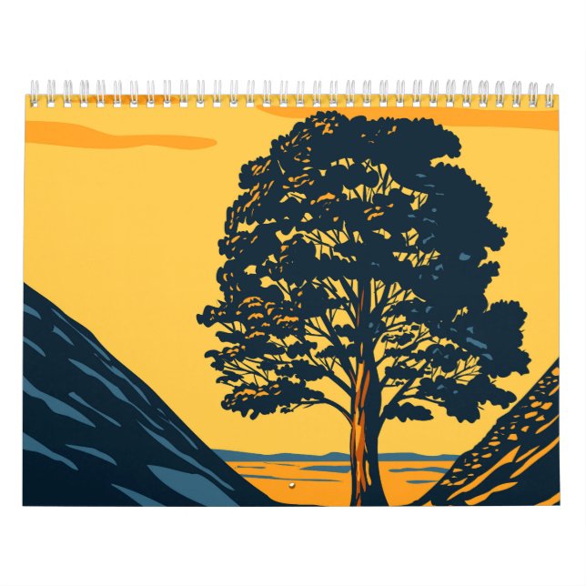 Sycamore Gap tree Kalender (Titelbild)