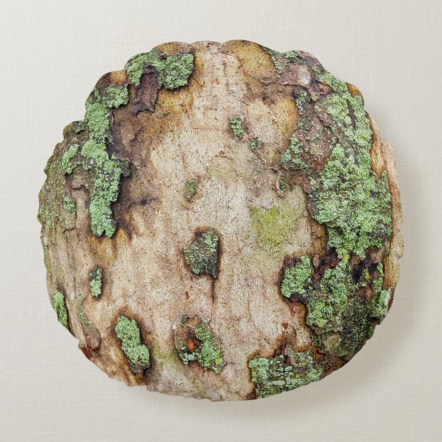 Sycamore Tree Bark Moss Lichen Rundes Kissen (Vorderseite)