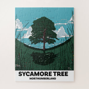 Sycamore Tree Gap