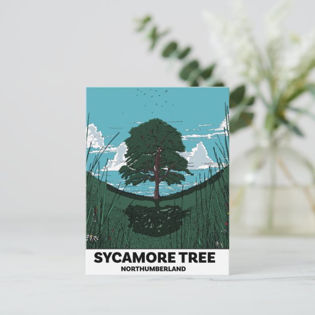 Sycamore Tree Gap Feiertagspostkarte (Stehend Vorderseite)