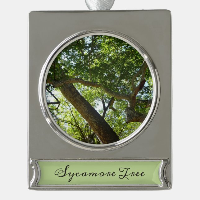 Sycamore Tree Green Nature Banner-Ornament Silber (Vorderseite)