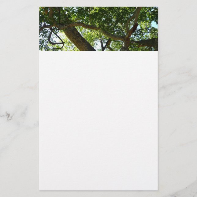 Sycamore Tree Green Nature Briefpapier (Vorderseite)