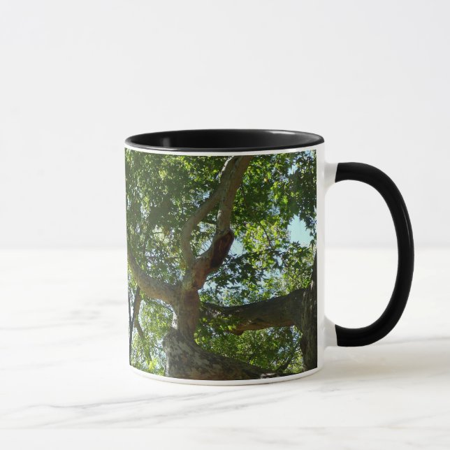 Sycamore Tree Green Nature Tasse (Rechts)