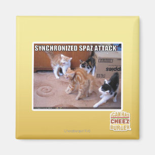 Sychronized Spaz Angriff Magnet