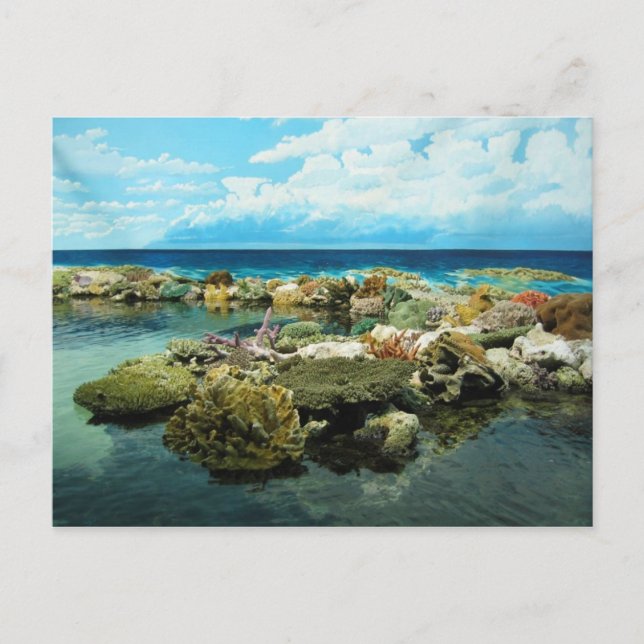 Sydney Great Barrier Reef Postkarte (Vorderseite)