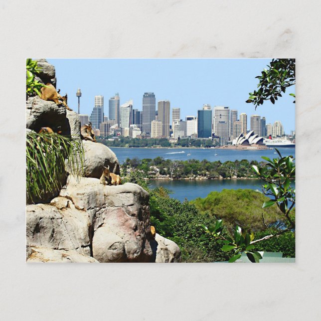 Sydney Harbour von der Zoo Postcard Postkarte (Vorderseite)