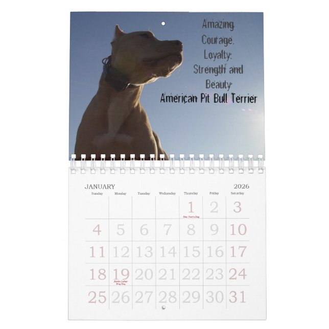 Sydney und Ziggi 2009 Kalender (Jan 2026)