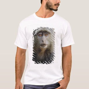 Sykes oder Blauer Affe, Cercopithecus mitis, T-Shirt