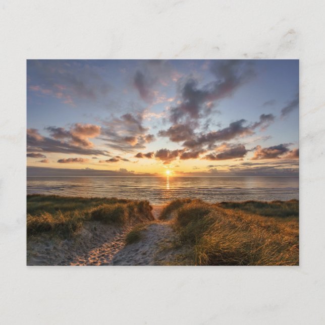Sylt Insel | Deutschland Postkarte (Vorderseite)