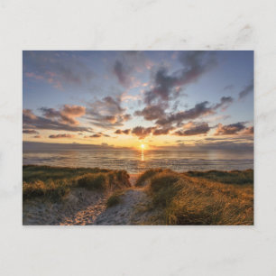 Sylt Insel   Deutschland Postkarte