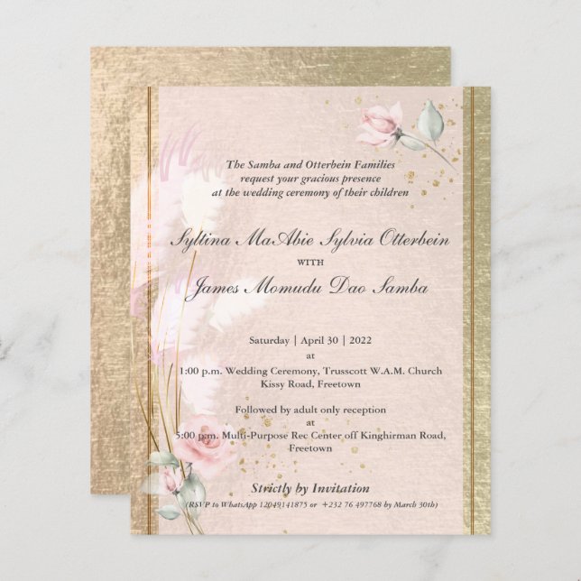 Syltina Custom 5c Luxus Pink Pampas Grass (Vorne/Hinten)