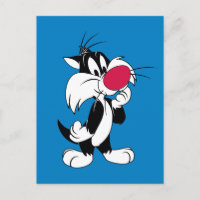 Sylvester Jr. | Klassische Pose