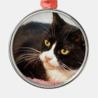 Sylvester Ornament Aus Metall